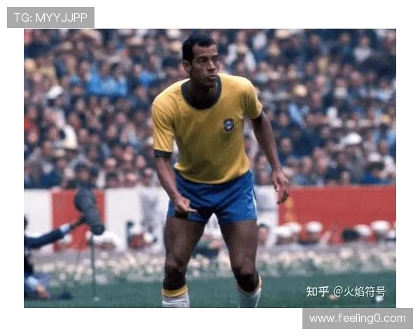 巴西足球明星卡洛斯的传奇人生与辉煌成就揭秘