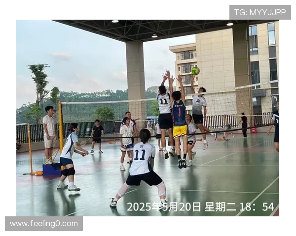 武汉排球队的团队协作之道:凝聚力与默契的完美结合